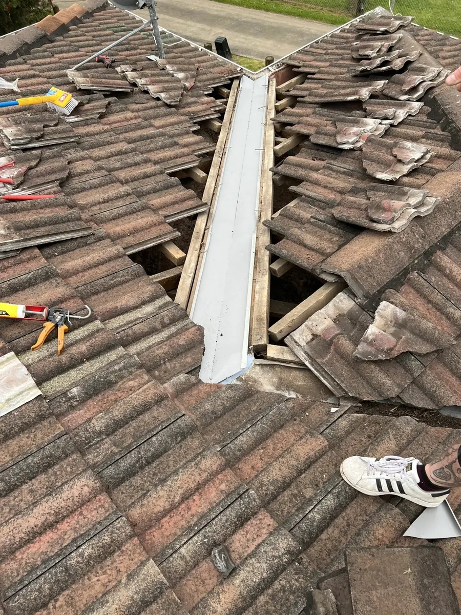 Roof Inspections Auckland