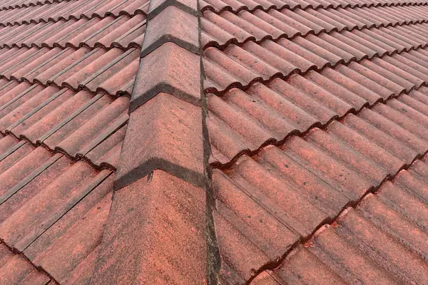 Concrete tile ridge line re-bedded and re-pointed as part of a roof restoration