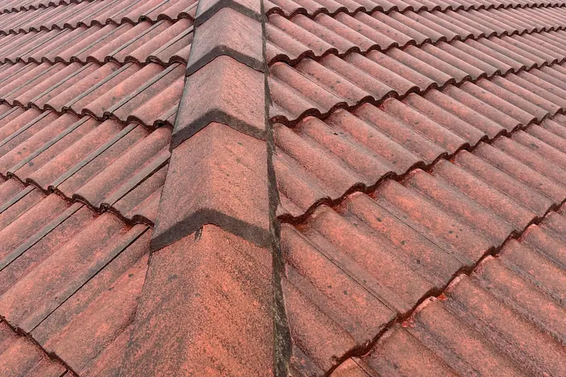Concrete tile ridge line re-bedded and re-pointed