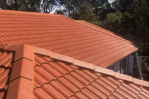 Roof painting West Auckland