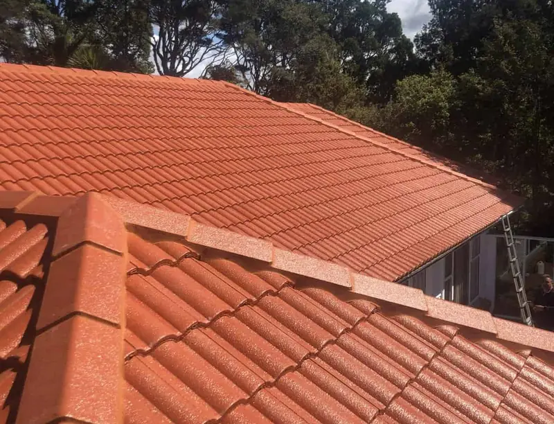 Roofing work in West Auckland