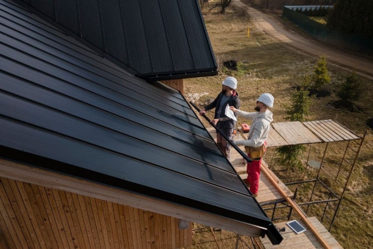 Roof Maintenance Tips NZ
