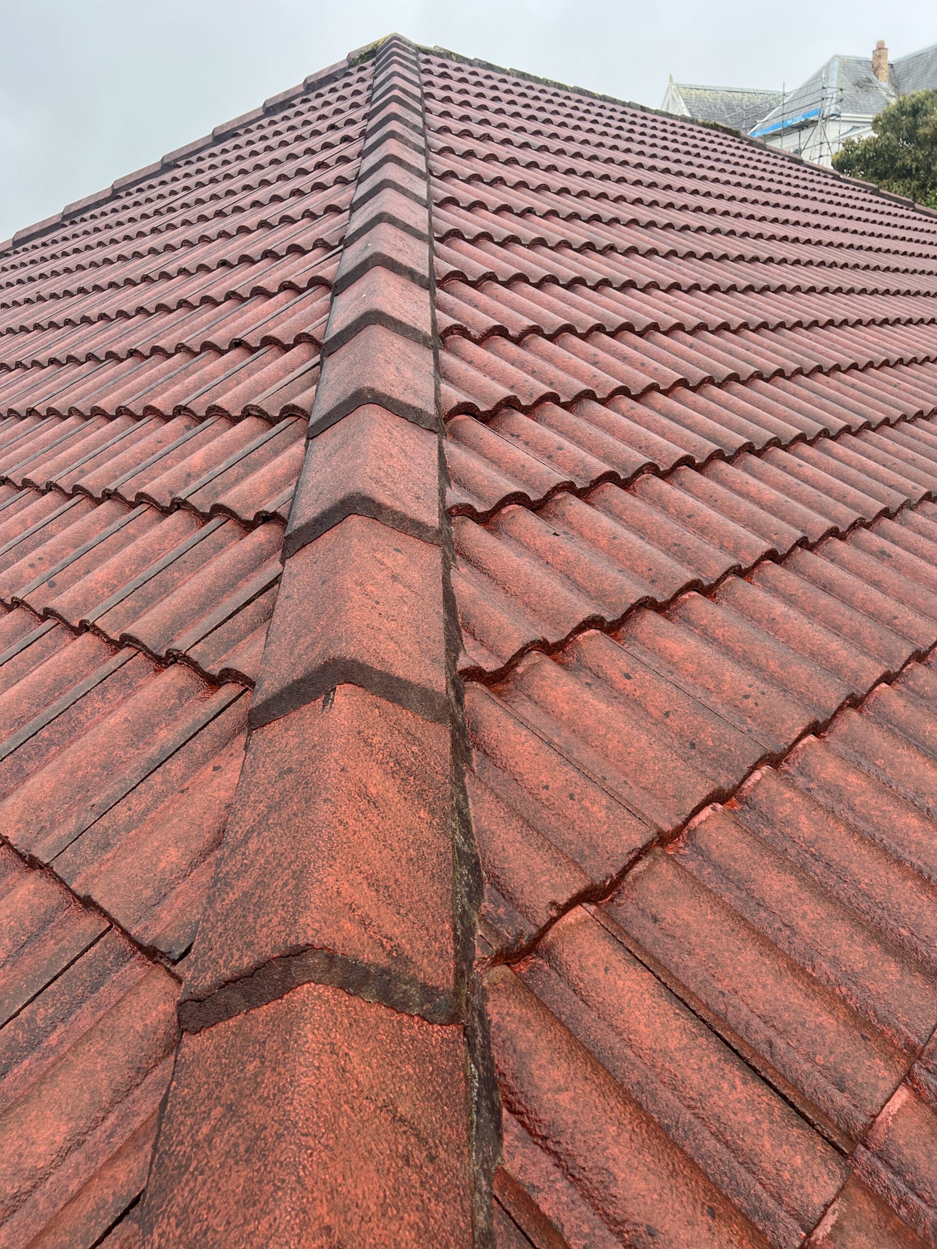 Roof Maintenance Auckland