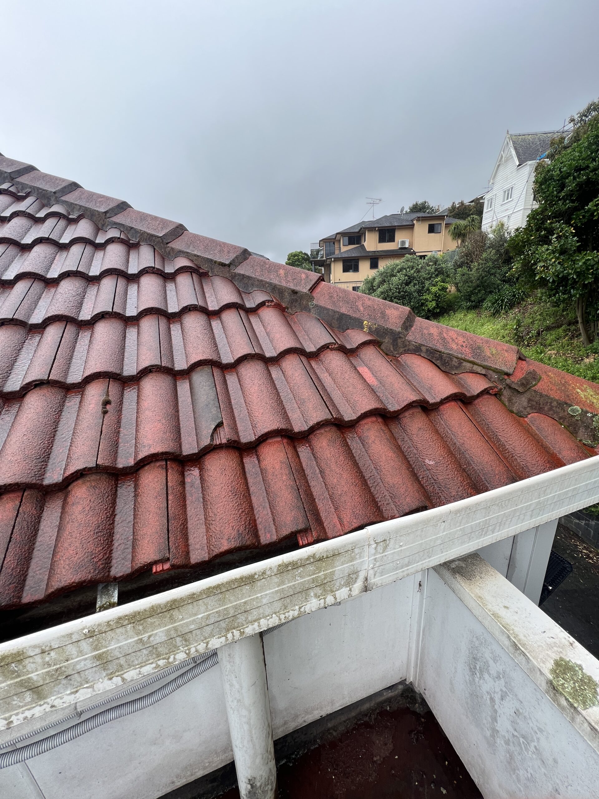 Roof painting and coating service in Auckland