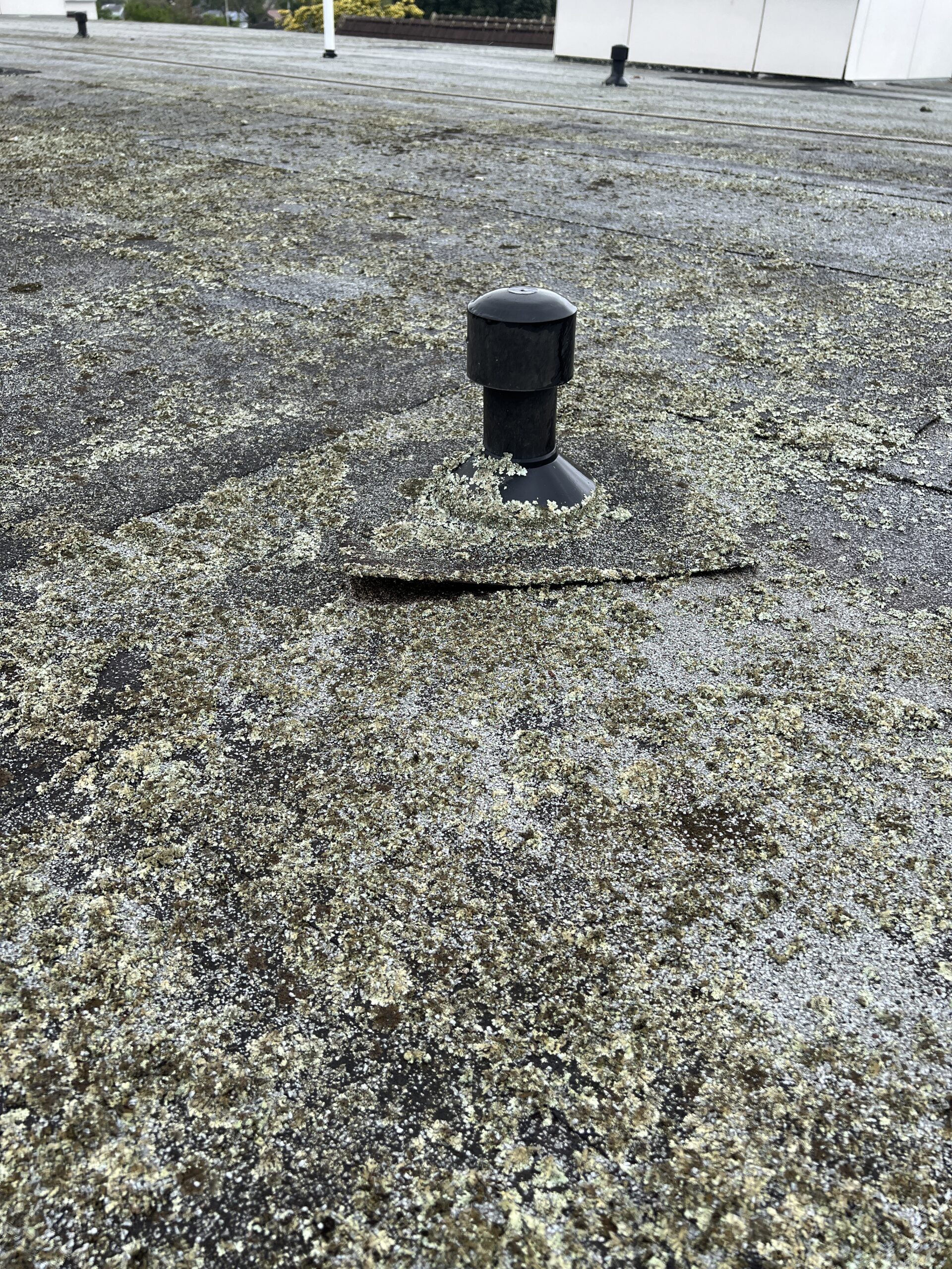Commercial Roofing Auckland