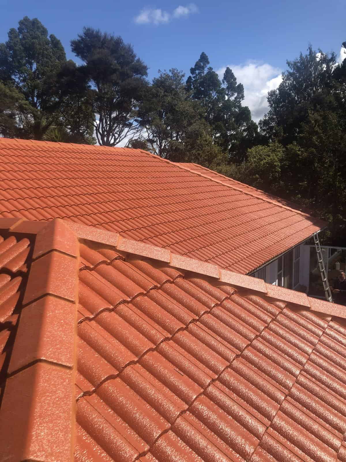 Complete roof replacement being carried out in Auckland