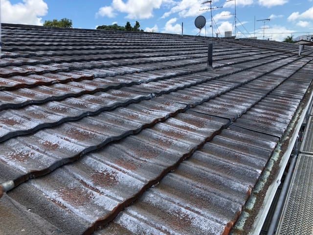 Gutter and spouting installation on Auckland home